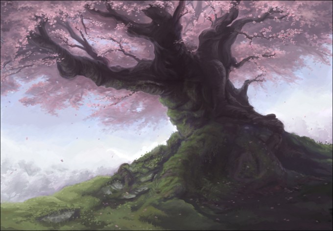 Sakura