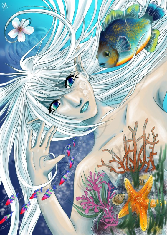 Japonsk elfka
