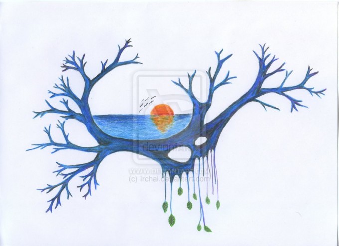 Sunset tree
